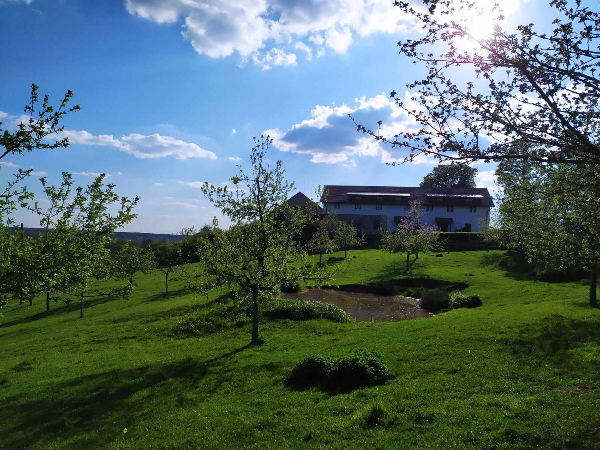 Farm stay Ekofarma Bily Mrak Borohradek